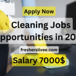 Cleaning Jobs in Luxembourg: Pay, Qualifications, and Opportunities in 2024